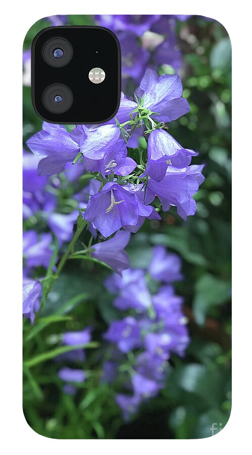 Campanula Bellflower Charm - Phone Case