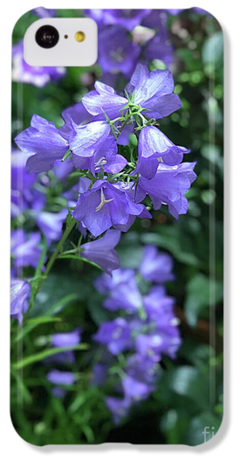 Campanula Bellflower Charm - Phone Case