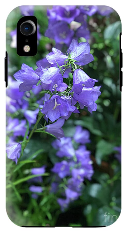 Campanula Bellflower Charm - Phone Case