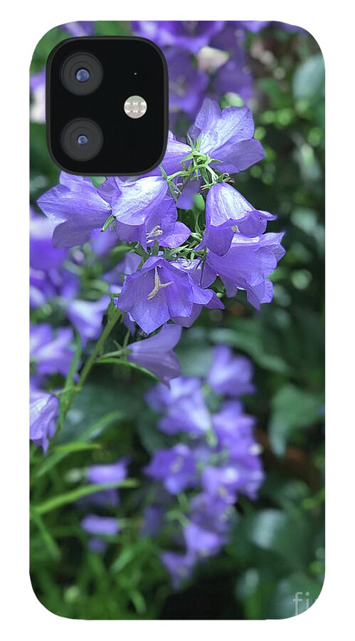 Campanula Bellflower Charm - Phone Case