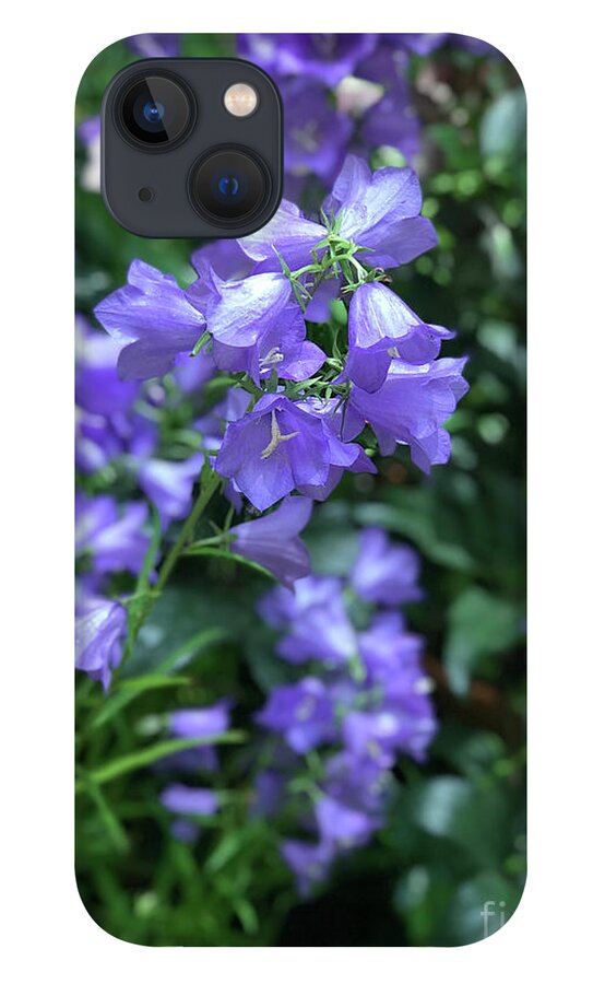 Campanula Bellflower Charm - Phone Case