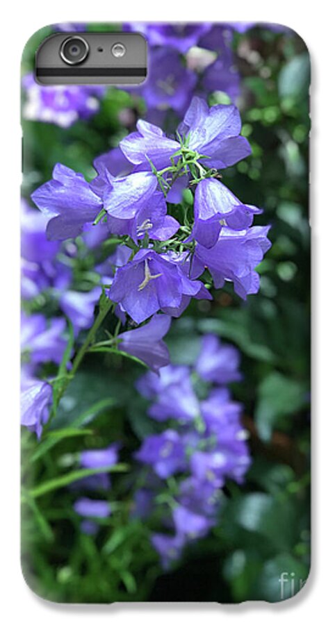 Campanula Bellflower Charm - Phone Case