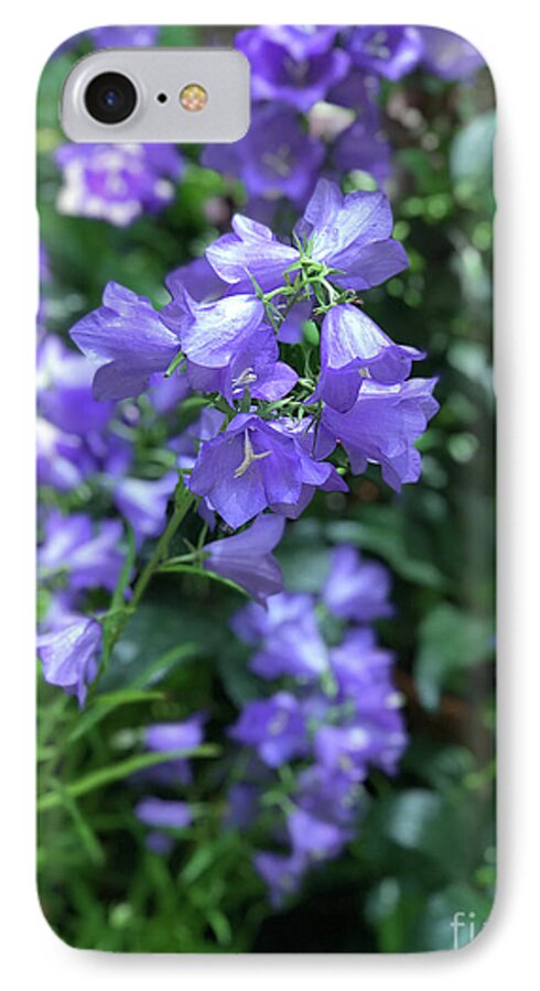 Campanula Bellflower Charm - Phone Case