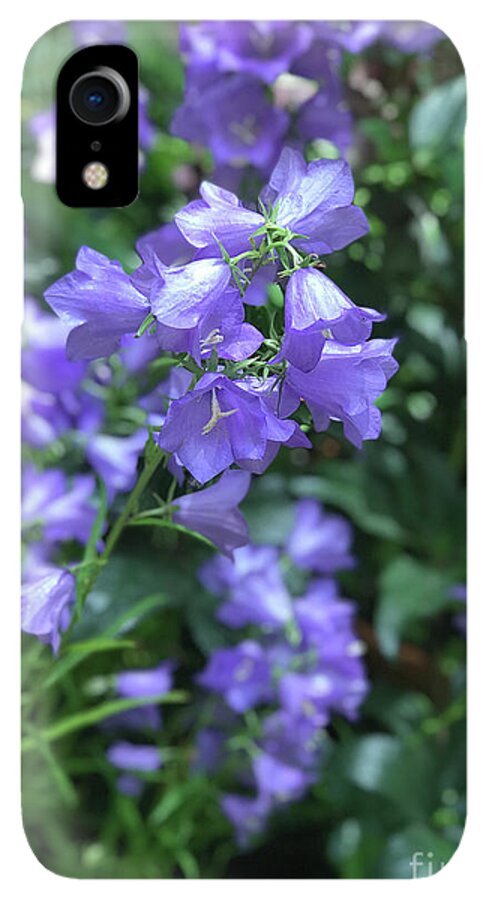 Campanula Bellflower Charm - Phone Case