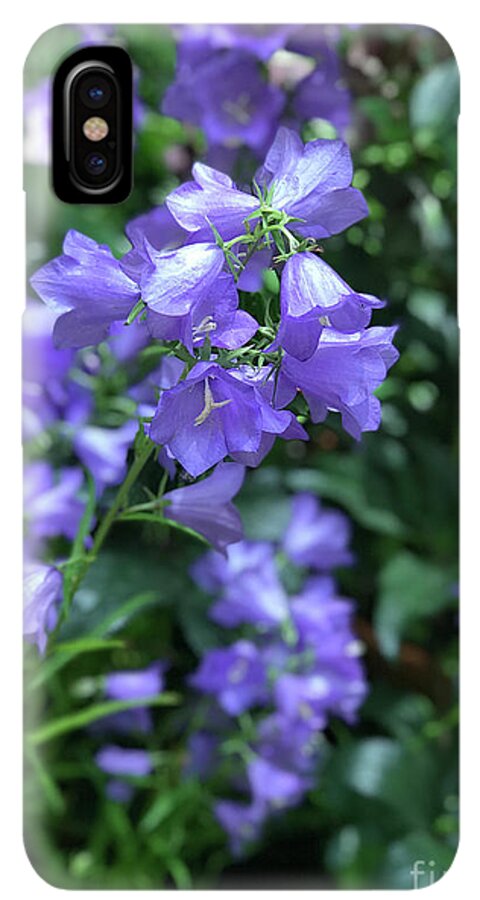 Campanula Bellflower Charm - Phone Case