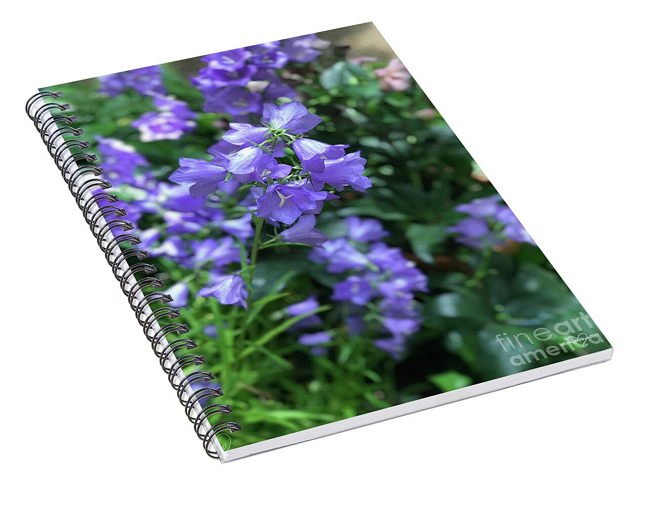 Campanula Bellflower Charm - Spiral Notebook