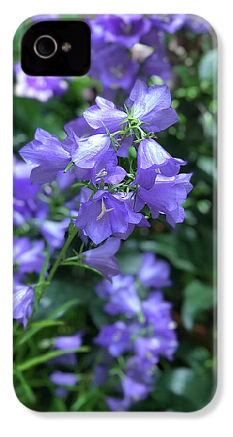 Campanula Bellflower Charm - Phone Case