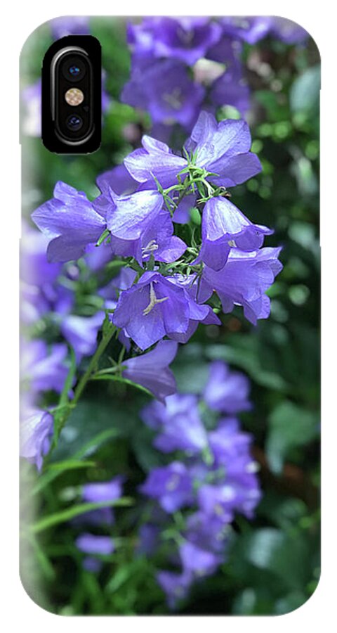 Campanula Bellflower Charm - Phone Case