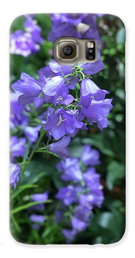 Campanula Bellflower Charm - Phone Case