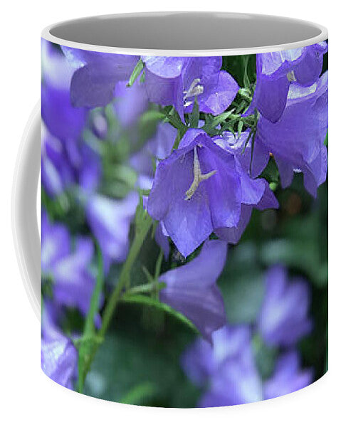 Campanula Bellflower Charm - Mug