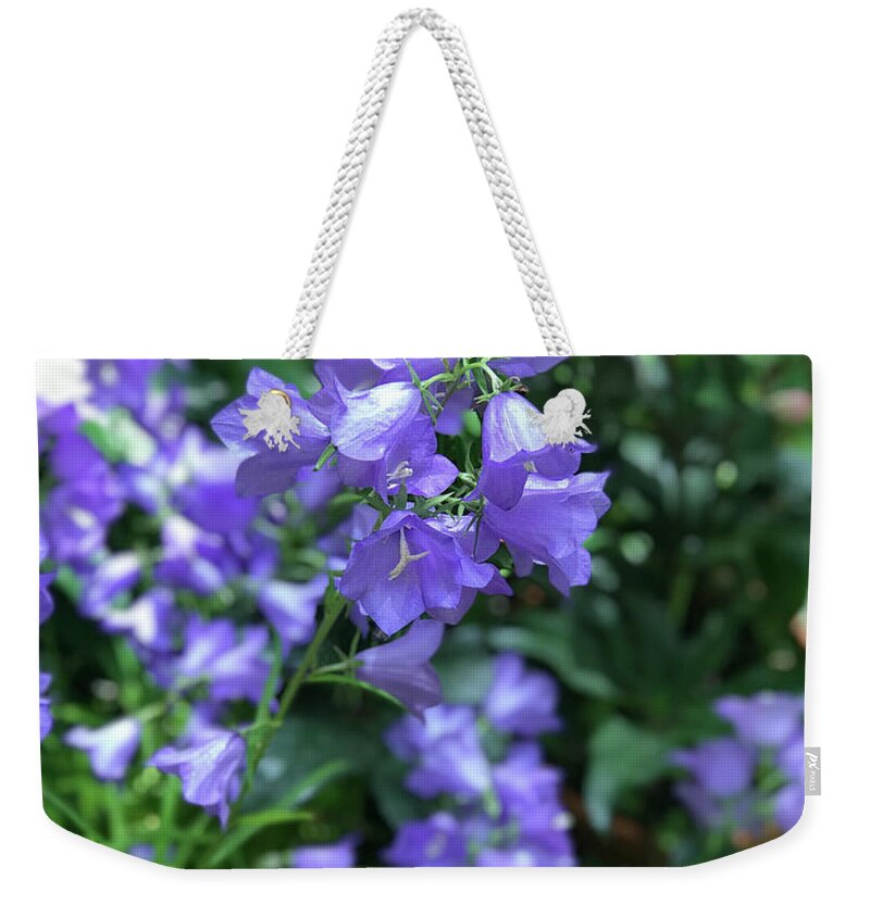 Campanula Bellflower Charm - Weekender Tote Bag