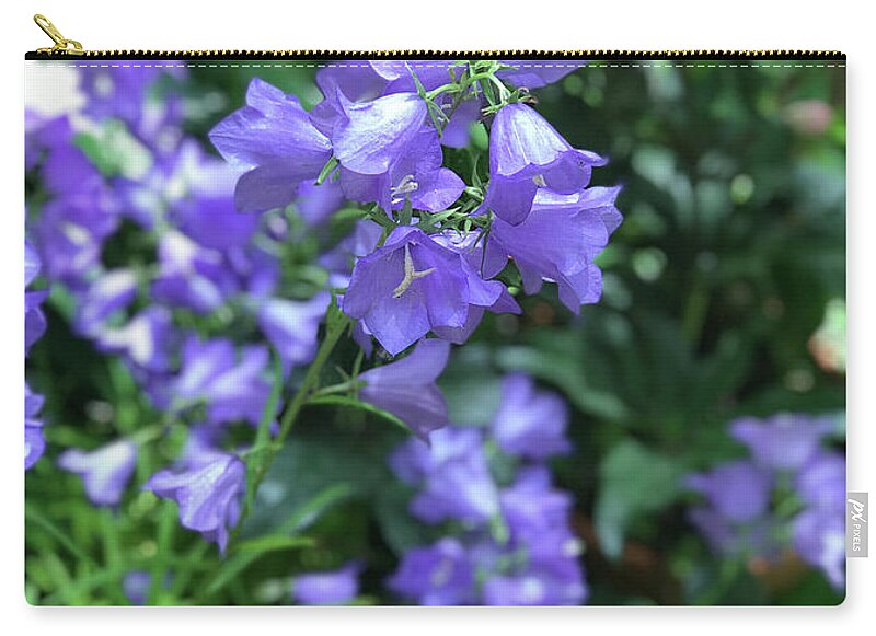 Campanula Bellflower Charm - Zip Pouch