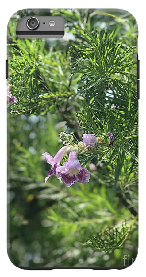 Desert Willow Whispers - Phone Case