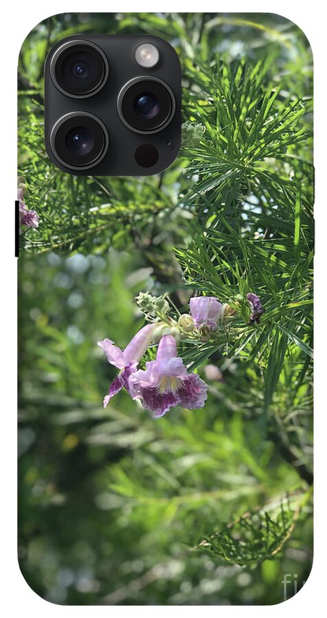 Desert Willow Whispers - Phone Case