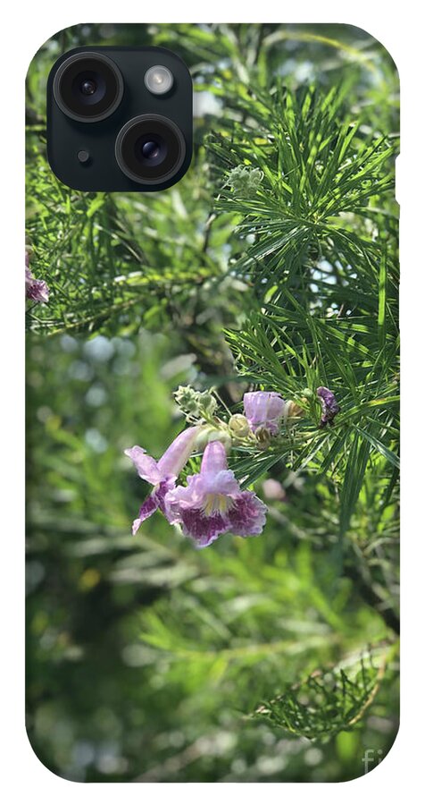 Desert Willow Whispers - Phone Case