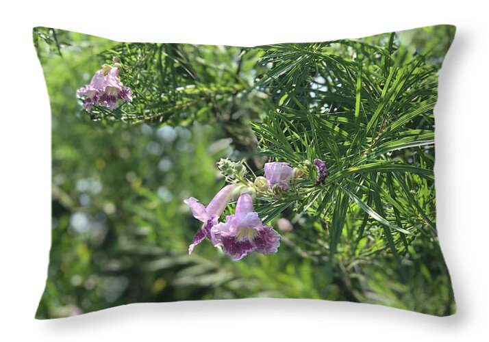 Desert Willow Whispers - Throw Pillow