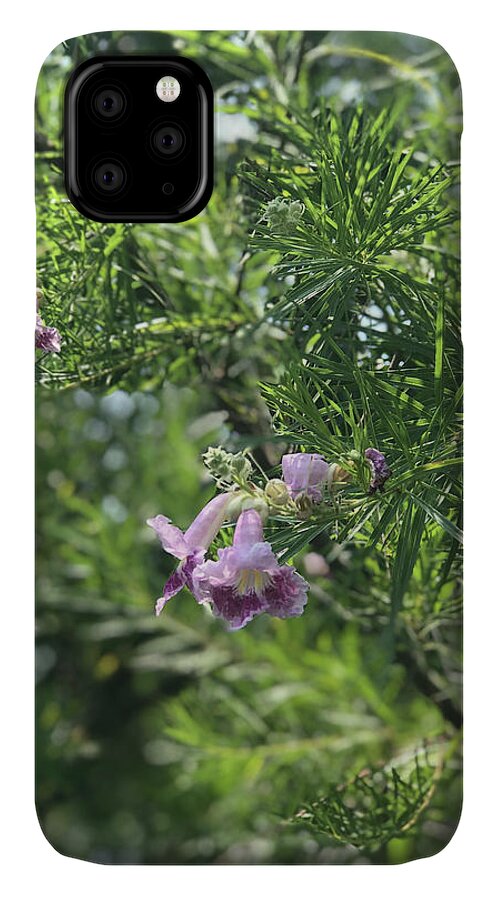 Desert Willow Whispers - Phone Case