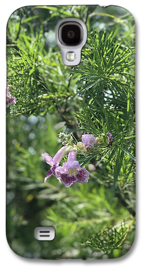 Desert Willow Whispers - Phone Case