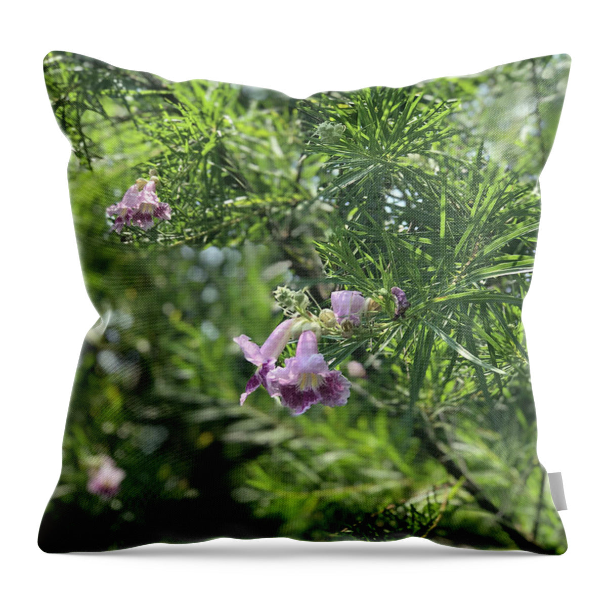 Desert Willow Whispers - Throw Pillow