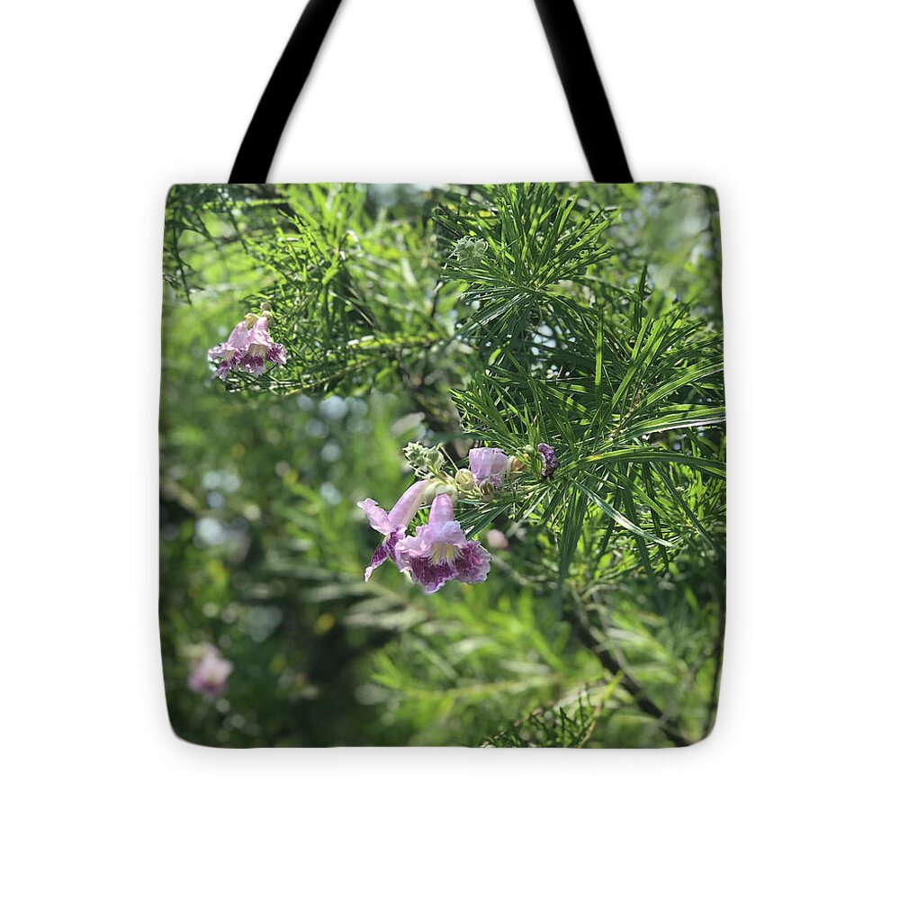 Desert Willow Whispers - Tote Bag