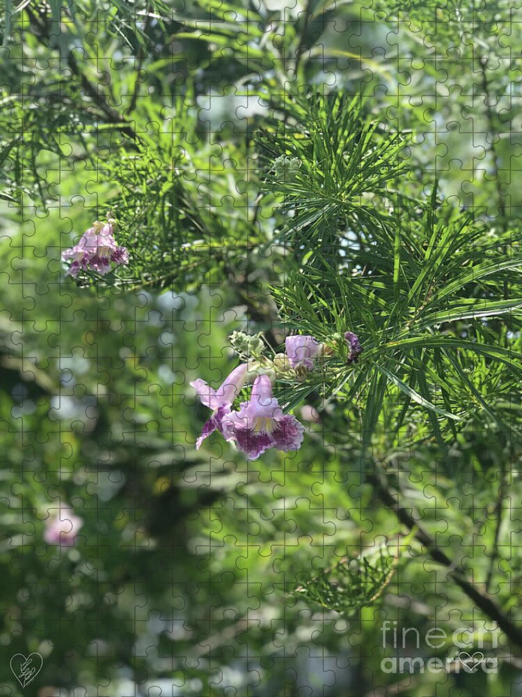 Desert Willow Whispers - Puzzle