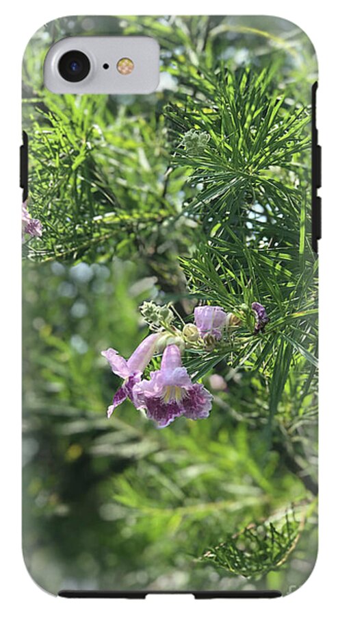 Desert Willow Whispers - Phone Case