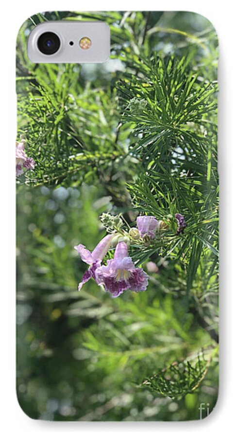 Desert Willow Whispers - Phone Case