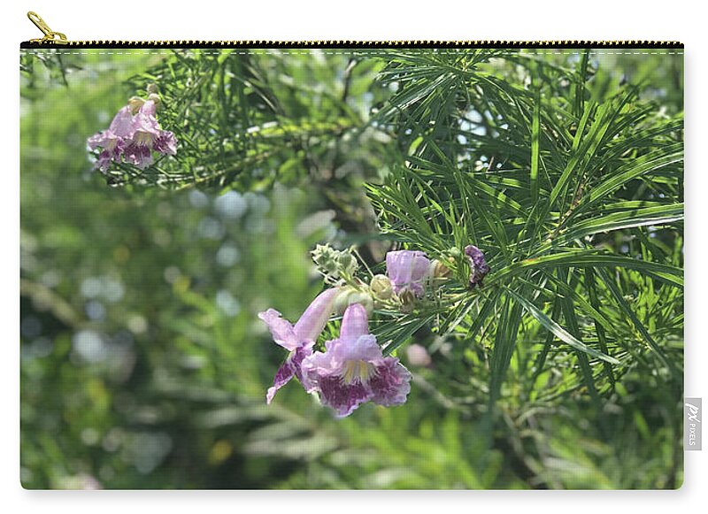 Desert Willow Whispers - Zip Pouch