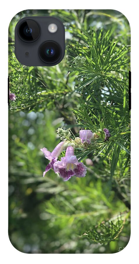 Desert Willow Whispers - Phone Case