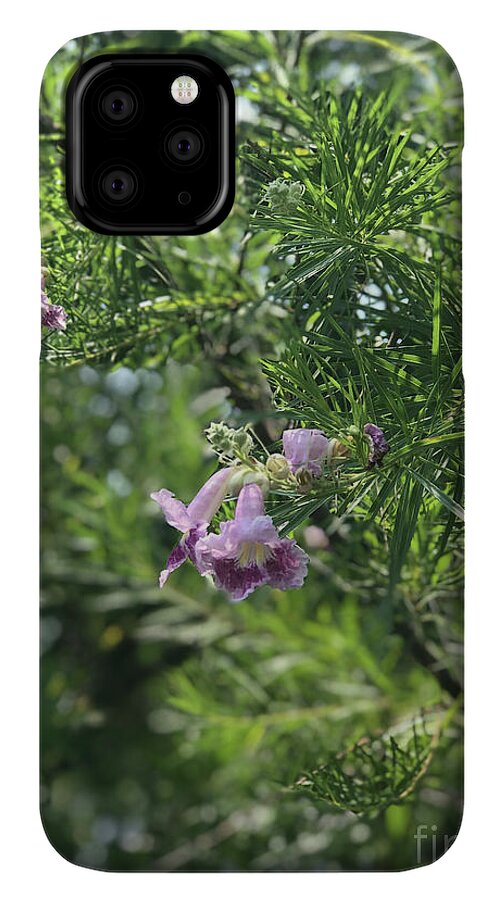 Desert Willow Whispers - Phone Case