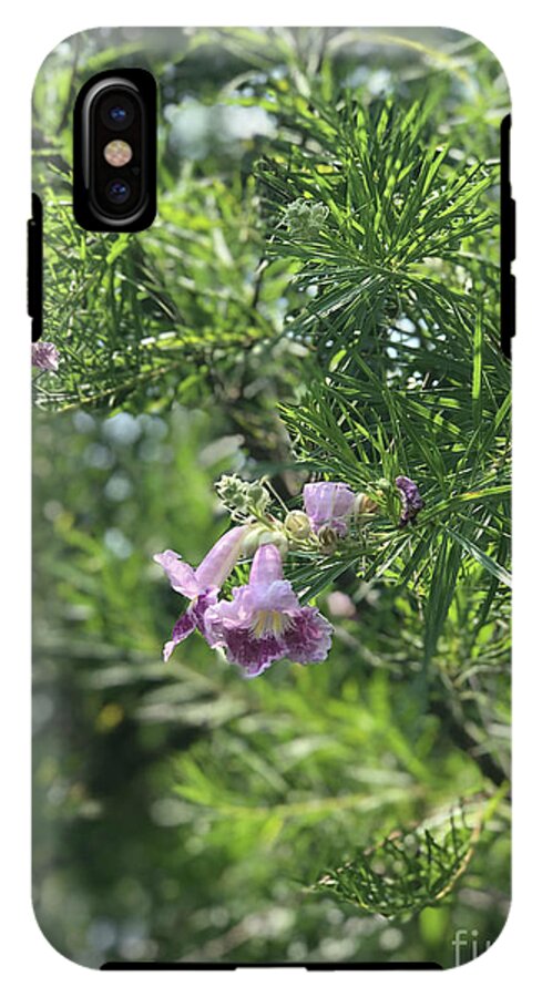 Desert Willow Whispers - Phone Case