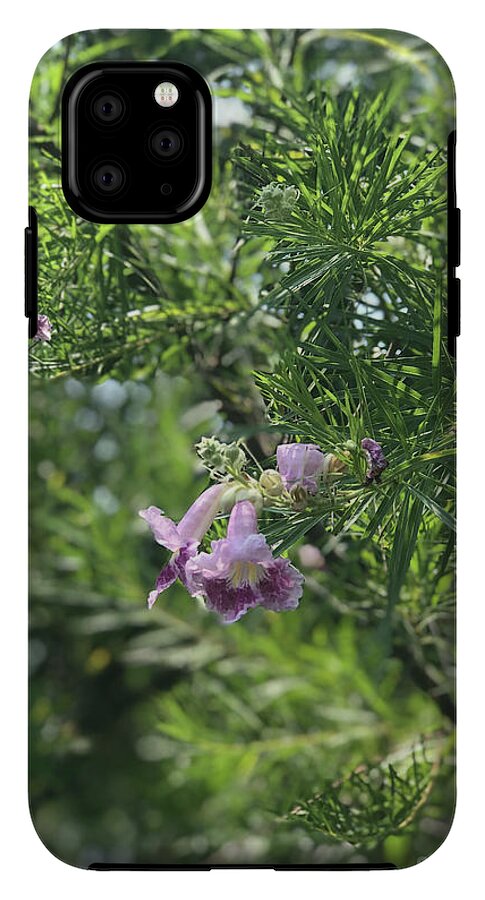 Desert Willow Whispers - Phone Case