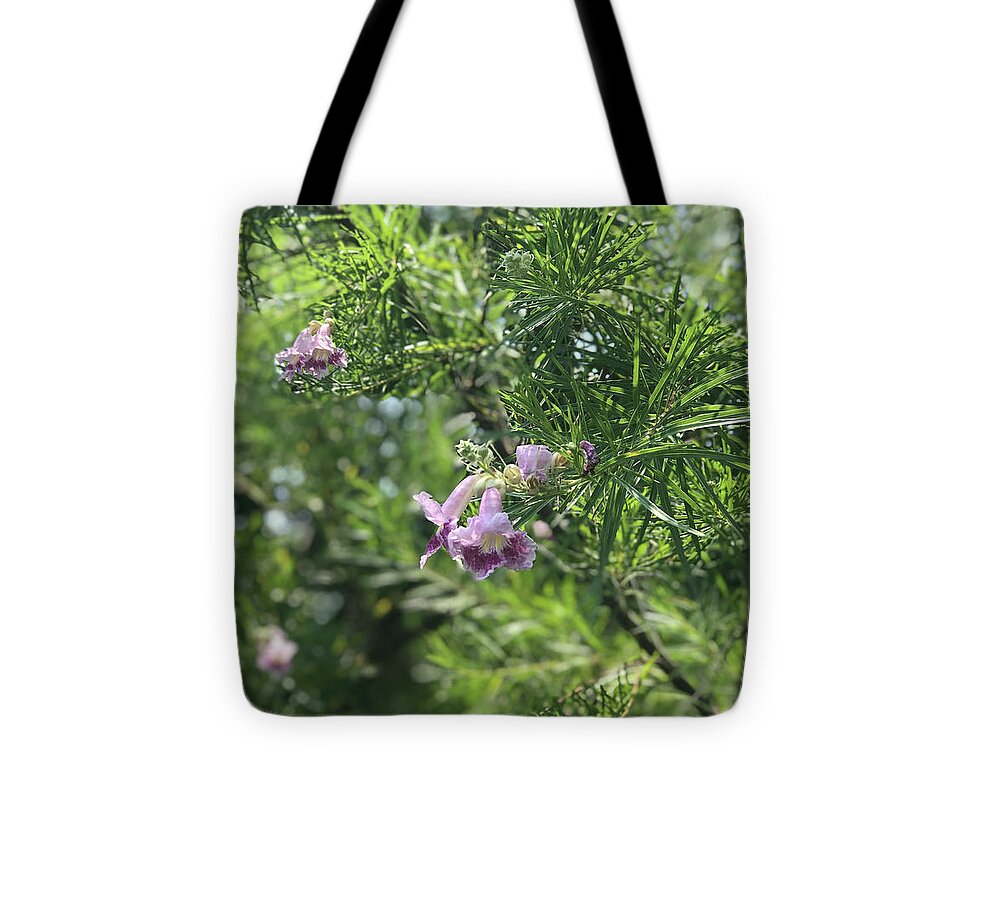 Desert Willow Whispers - Tote Bag