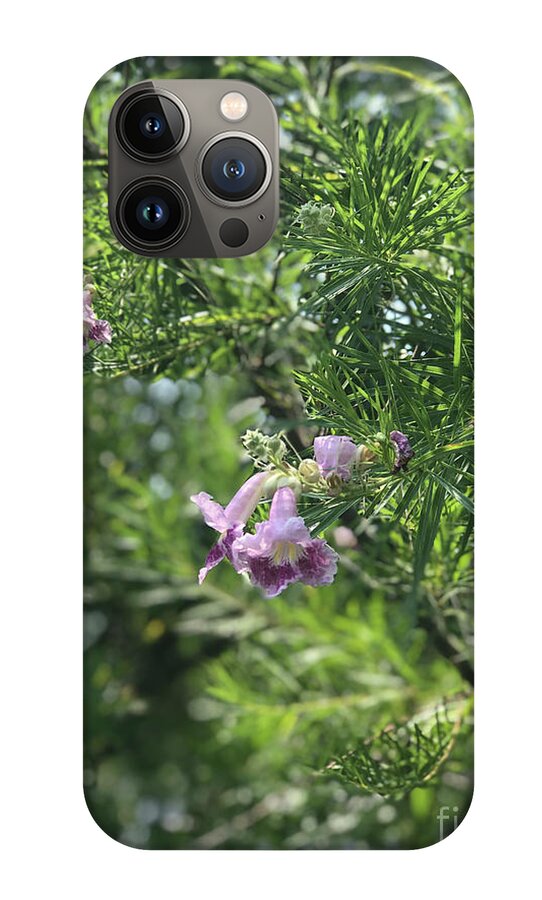 Desert Willow Whispers - Phone Case