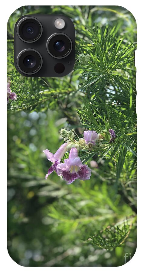 Desert Willow Whispers - Phone Case