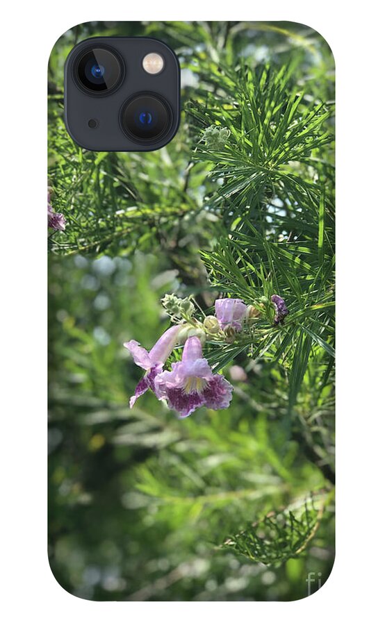 Desert Willow Whispers - Phone Case