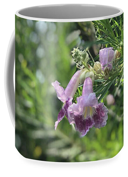 Desert Willow Whispers - Mug