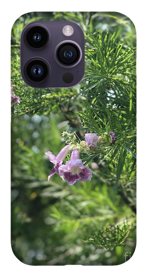 Desert Willow Whispers - Phone Case