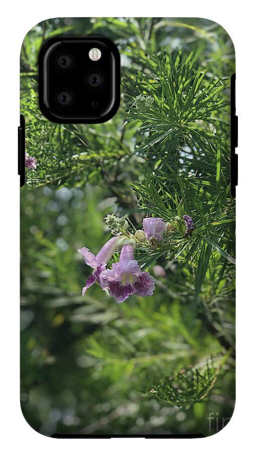 Desert Willow Whispers - Phone Case