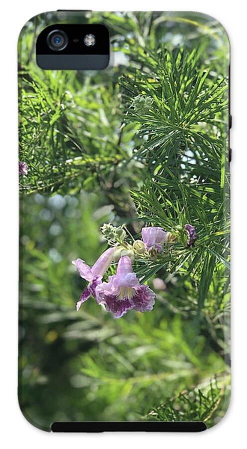 Desert Willow Whispers - Phone Case