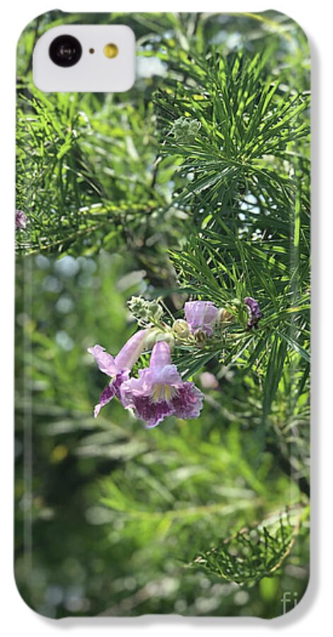 Desert Willow Whispers - Phone Case