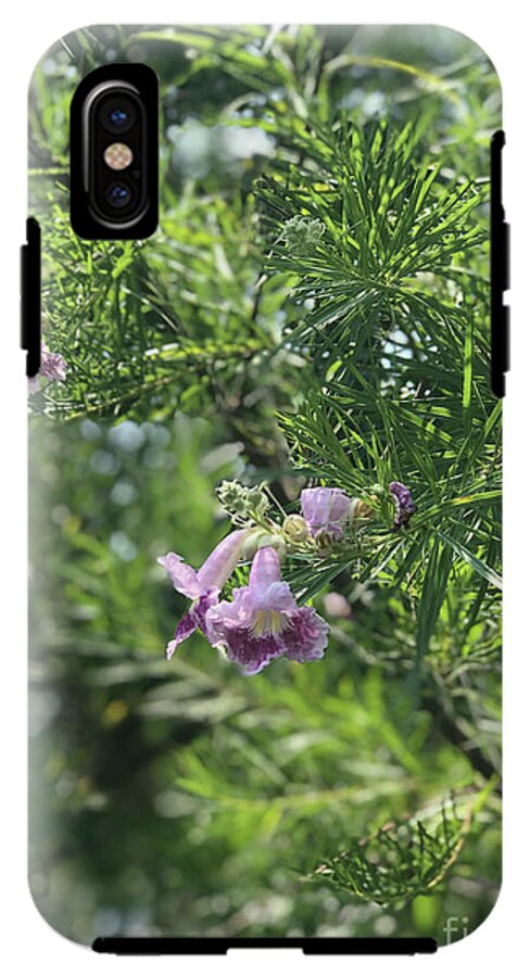 Desert Willow Whispers - Phone Case