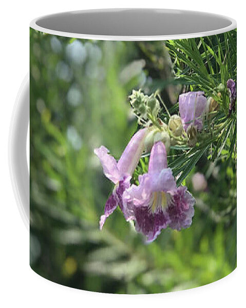 Desert Willow Whispers - Mug