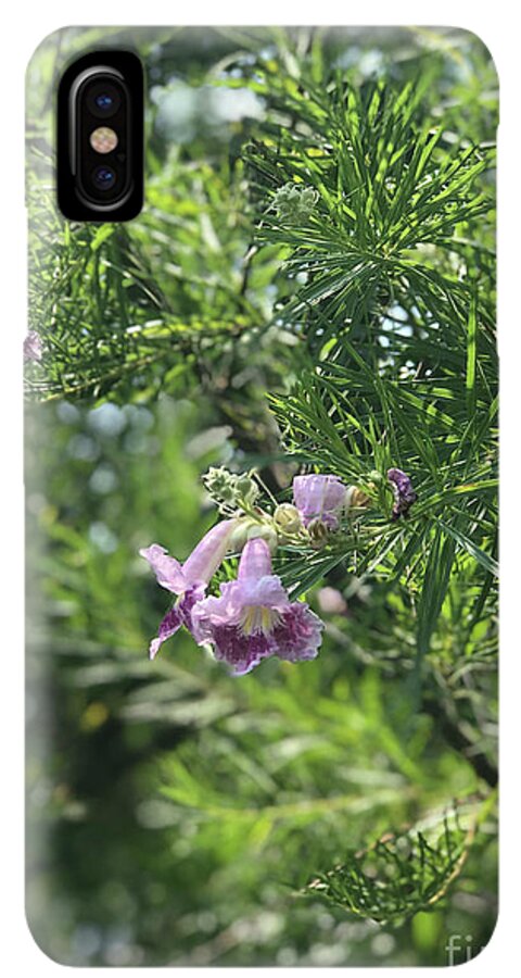 Desert Willow Whispers - Phone Case