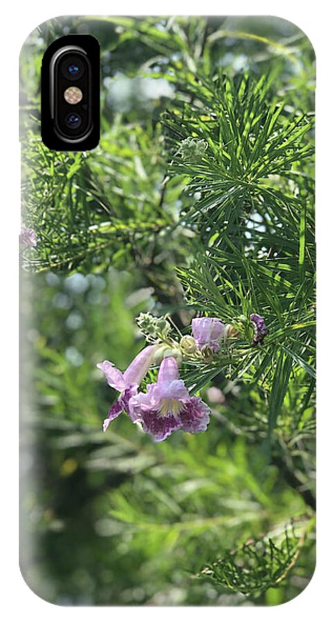 Desert Willow Whispers - Phone Case