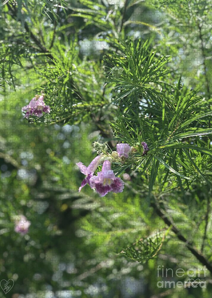 Desert Willow Whispers - Puzzle