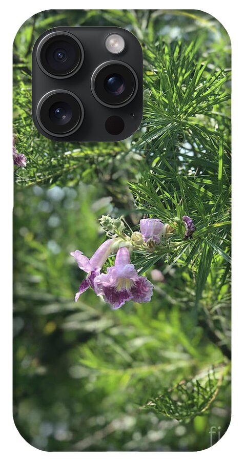 Desert Willow Whispers - Phone Case