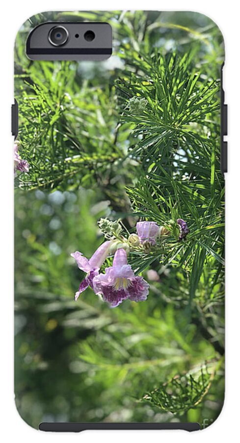 Desert Willow Whispers - Phone Case