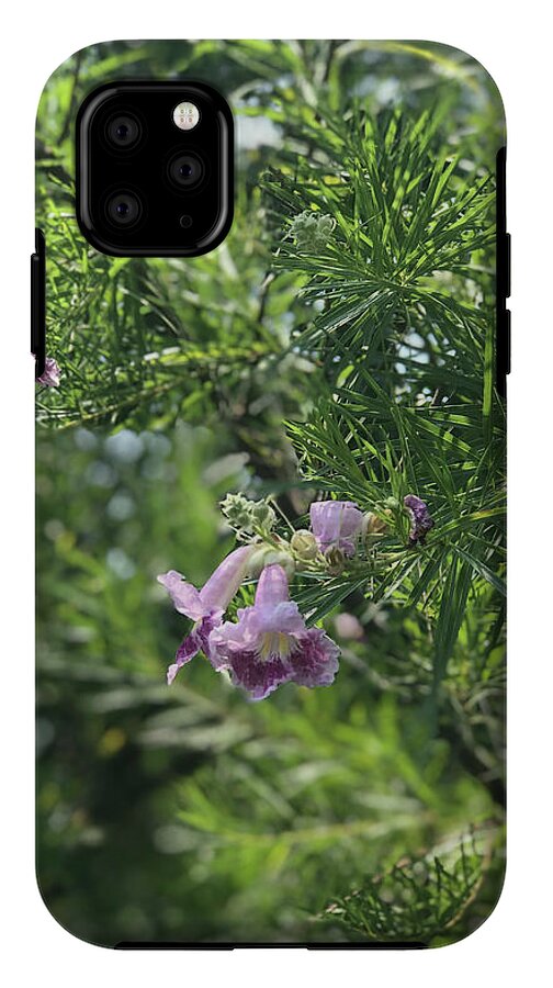 Desert Willow Whispers - Phone Case