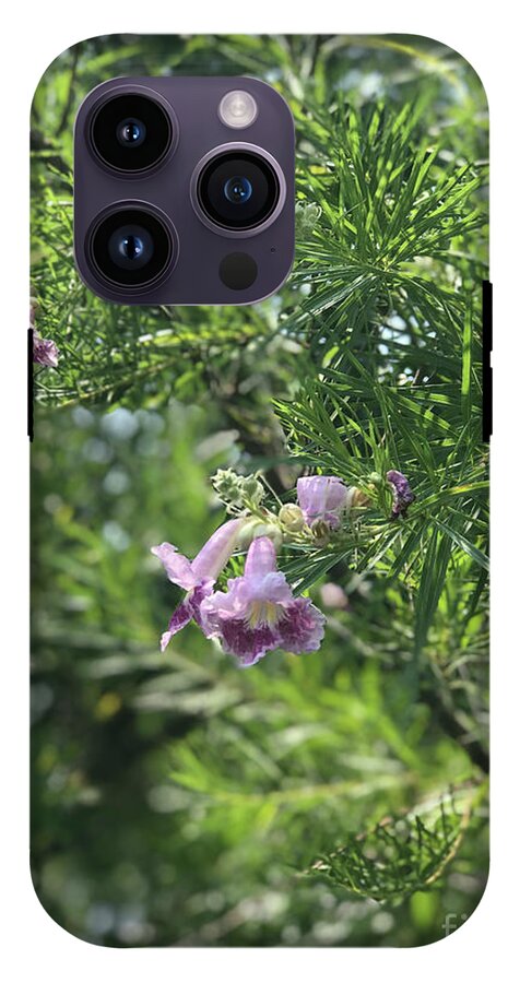 Desert Willow Whispers - Phone Case